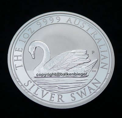 PM Silver Swan BS web.jpg