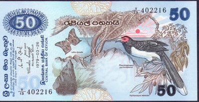 Sri-Lanka (11).jpg