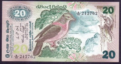 Sri-Lanka (3).jpg