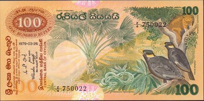 Sri-Lanka (10).jpg