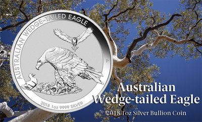 2018WedgeTailedEagle_silverBU.jpg