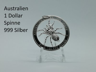 Australien Spinne.jpg