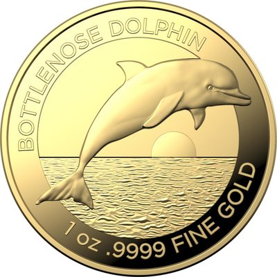 render_bluenose_dolphin_in_gold_copy.jpg