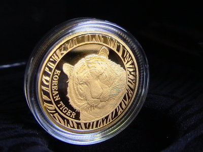 tiger korea gold 002.JPG