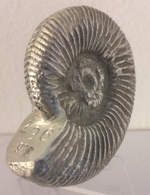 Ammonit-3.JPG