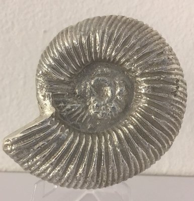 Ammonit-1.JPG