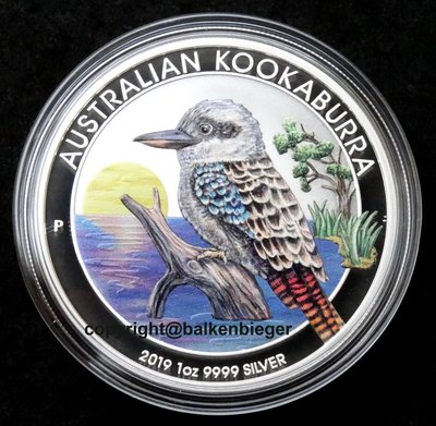 WMF Kooka 2019 II web.jpg