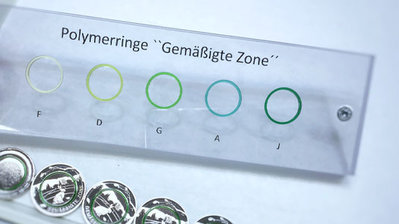 mdm-muenzenblog_anpraegung_5-euro-polymer_gemaessigte-zone_gruentoene-polymerring.jpg