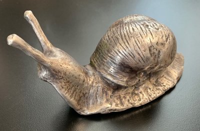 Schnecke-1.jpg