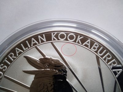 Kookaburra 10oz. ohne Blitz.jpg