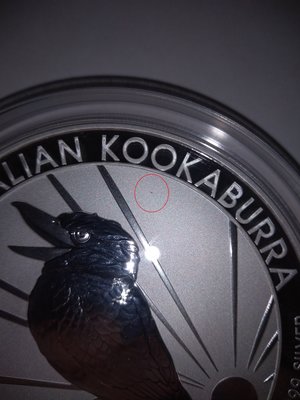 Kookaburra 10oz. mit Blitz.jpg