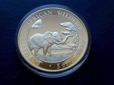 5oz Somalia Elefant (9).JPG