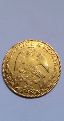 escudo1.jpg