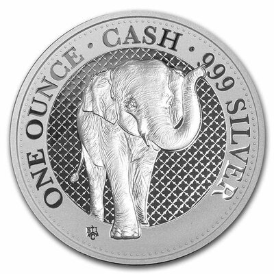 2021 cash india wildlife elephant.jpg