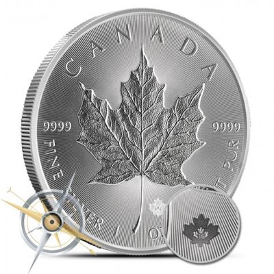 2016-canadian-silver-maple-02.jpg