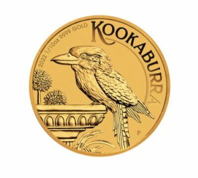 Kooka 2022 Gold.JPG