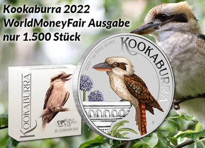 kookaburraWMFNL.jpg