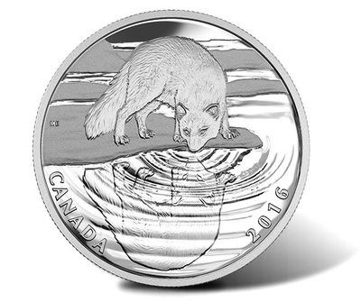Canadian-2016-Arctic-Fox-Wildlife-Reflections-Silver-Proof-Coin.jpg