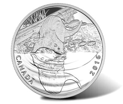 Canadian-2016-Otter-Wildlife-Reflections-Silver-Proof-Coin.jpg