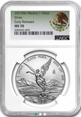 4 APMEX NGC Label.jpg