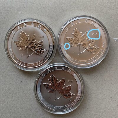 Maple Leaf 3_LI (2).jpg