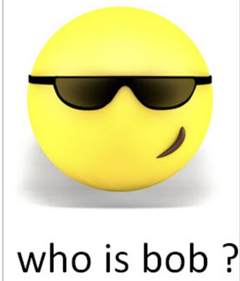 who is bob.jpg