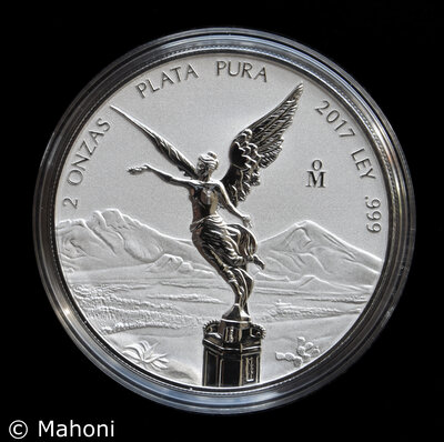 Libertad Reverse Proof 2 oz-12.jpg