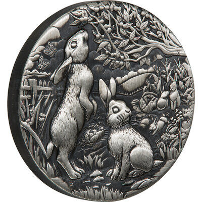 year-of-the-rabbit-1oz-silver-antiqued-coin-2023__34606.jpg
