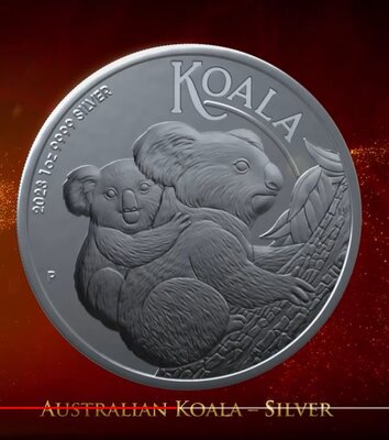 Koala 2023.JPG