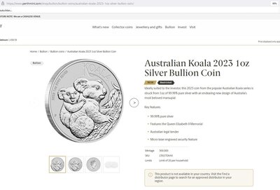 Koala 2023.JPG
