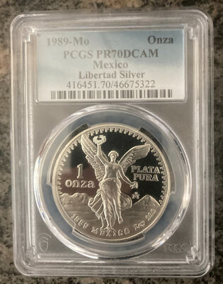 1989 PR 70 PCGS Reverse.jpg