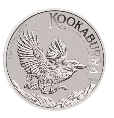 1_10 Kooka 2024 Pt.JPG